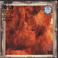 Kid Cudi-Indicud-Vinyl