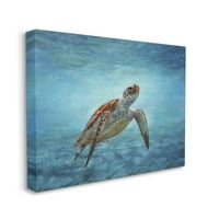 Stupell Industries tengeri teknős víz alatti tengeri jelenet Deep Ocean Water Painting Galéria csomagolt vászon nyomtatás