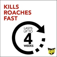 Raid Ant & Roach Killer 26, Illatmentes, 17. oz