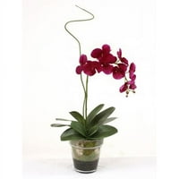 Waterlook Violet Phaleanopsis orchidea ostor fű üveg virágcserép váza