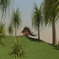Kentrosaurus séta egy nyílt terepen Poszter Nyomtatás