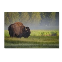 Védjegy Képzőművészet „Bison in Morning Light” vászonművészet, Sandipan Biswas