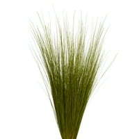 Vickerman 35-40 bazsalikom fényes fű, oz köteg, szárított