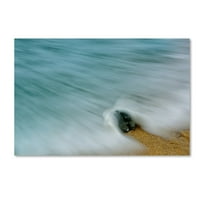 Védjegy Szépművészet 'Whelk SeaShell and Misty Wave' vászon művészete: Pipa Képzőművészet