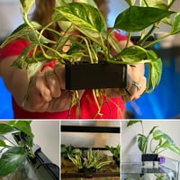 huanledash növénytermesztő Rack réselt Design műanyag növény csésze Pot ültetvényes tartó nappali ellátás