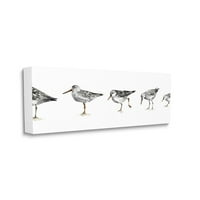 Stupell Industries Sandpiper madárhelyek Minimálisan szürke fehér festmény vászon fali művészet, Lisa Audit, 13 30