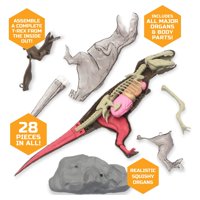 Discovery MINDBLOWN 4D T-Re anatómia interaktív dinoszaurusz modell Tudományos készlet, tizenévesek számára & gyerekek