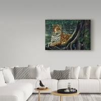 Védjegy képzőművészet 'jaguár a folyónál' vászon művészet Harro Maass