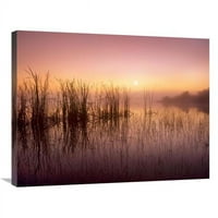 Globális Galéria. Nád tükröződik az édes öböl-tóban napkeltekor, Everglades Nemzeti Park, Florida Művészeti nyomtatás-Tim
