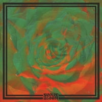 Éjszakai Ütemek-Sonic Bloom-Vinyl