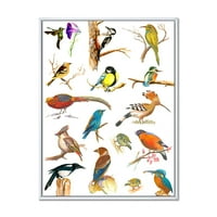 Designart 'Vital Colored Birds Plancard' hagyományos keretes vászon fali művészet nyomtatás