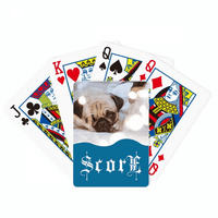 bulldog kisállat állat lly kép pontszám póker játékkártya inde játék