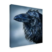 Védjegy Szépművészet 'Blue Beak Raven' vászon művészete: Patrick Lamontagne