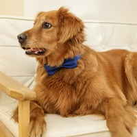 Kutya nyak nyakkendő egyszínű állítható fej viselet kisállat íj gallér kutya kiegészítők esküvői Party