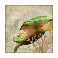 Cora Niele 'Sea Turtle Pacific' vászon művészet