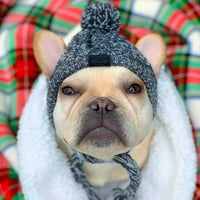 Téli kutya kalap klasszikus meleg kisállat Kutya kötött meleg kalap közepes kutyáknak kisállat Kutya kötött meleg kalap