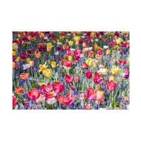 Richard Silver 'Kuekenhof Tulips II' Canvas Art