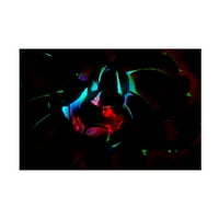 Eva Bane 'Neon Glow a sötétben 03' vászon art