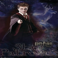 Harry Potter és a Fönik rendje-patrónus Falplakát, 22.375 34