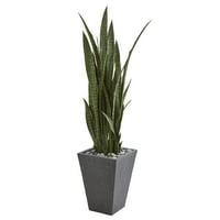 57 ”Sansevieria mesterséges növény a pala ültetvényen