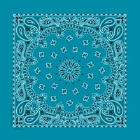 Hav-A-Hank Paisley Bandanna, 22 22